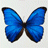 hgray's Avatar