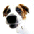Matthewsuth's Avatar