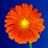 HansPan's Avatar