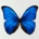 hgray's Avatar