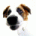 Matthewsuth's Avatar