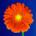 HansPan's Avatar